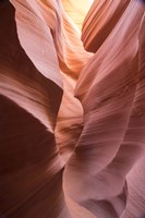 Spiral II Fine Art Print