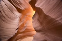 Welcome III Fine Art Print