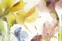 Flores en Hielo IX Fine Art Print