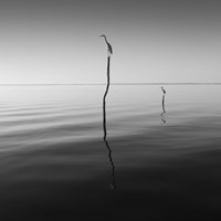 Father And Son Fine Art Print