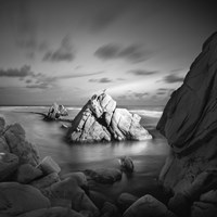 Destiny 2 Fine Art Print