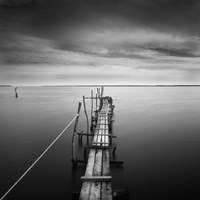 Direction Fine Art Print