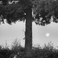 Alice Moving Under Skies Fine Art Print