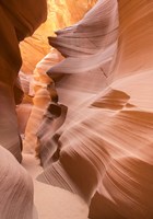 Welcome IV Fine Art Print