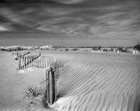 Anglesea Moire Fine Art Print