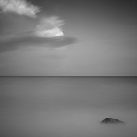 Brief Fine Art Print