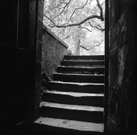 Chenonceaux Fine Art Print