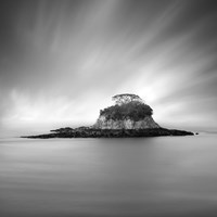 Rat Island Fine Art Print