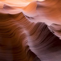 Smooth I Fine Art Print