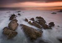 Monterey (97) Fine Art Print