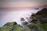 San Francisco 1 Fine Art Print