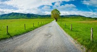 Country gravel road passing through a field, Hyatt Lane, Cades Cove, Great Smoky Mountains National Park, Tennessee Fine Art Print