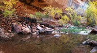 Reflecting pond in Zion National Park, Springdale, Utah, USA Fine Art Print