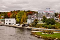 Trees on a hill, Port Carling, Muskoka Lakes, Ontario, Canada Fine Art Print