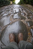Cobblestones of the Appian Way, Rome, Lazio, Italy Fine Art Print
