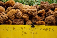 Natural sponges for sale in a market, Lourmarin, Vaucluse, Provence-Alpes-Cote d'Azur, France Fine Art Print