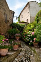 Flowers pots on street, Lacoste, Vaucluse, Provence-Alpes-Cote d'Azur, France Fine Art Print