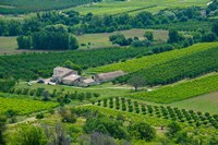 Farmhouse in a field, Lacoste, Vaucluse, Provence-Alpes-Cote d'Azur, France Fine Art Print