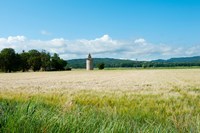 Wheat field with a tower, Meyrargues, Bouches-Du-Rhone, Provence-Alpes-Cote d'Azur, France by Panoramic Images - various sizes