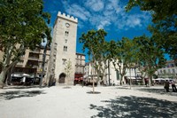 Buildings in a town, Place Saint-Jean le Vieux, Avignon, Vaucluse, Provence-Alpes-Cote d'Azur, France Fine Art Print