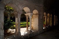 Cloister of ancient Monastere Saint-Paul-De-Mausole, St.-Remy-De-Provence, Bouches-Du-Rhone, Provence-Alpes-Cote d'Azur, France Fine Art Print
