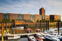 Boats docked at a harbor, HafenCity, Hamburg, Germany Fine Art Print
