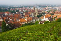 City viewed from vineyard, Esslingen-Am-Neckar, Baden-Wurttemberg, Germany Fine Art Print