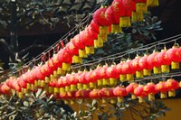 Red lanterns at a temple, Jade Buddha Temple, Shanghai, China Fine Art Print