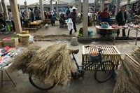 Traditional town market with grass on bicycle for making brooms, Xizhou, Erhai Hu Lake Area, Yunnan Province, China Fine Art Print
