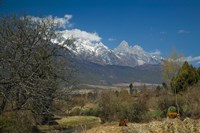 Jade Dragon Snow Mountain viewed from Baisha, Lijiang, Yunnan Province, China Fine Art Print