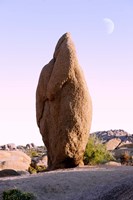 Rock formations at Joshua Tree National Park, California, USA by Panoramic Images - various sizes
