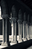 Cloister of a church, Cloitre des Jacobins, Eglise des Jacobins, Toulouse, Haute-Garonne, Midi-Pyrenees, France Fine Art Print