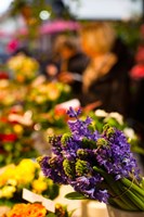 Bunch of flowers at a flower shop, Rue De Buci, Paris, Ile-de-France, France Fine Art Print