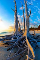 Lovers Key State Park, Lee County, Florida Fine Art Print