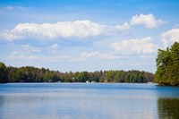 Cottages at the waterfront, Port Carling, Muskoka Lakes, Ontario, Canada Fine Art Print