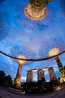 Elevated walkway at Gardens by the Bay, Singapore Fine Art Print