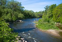 River passing through a forest, Beaver River, Ontario, Canada Fine Art Print