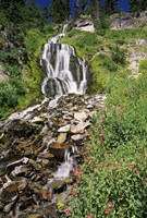 Vidae Falls in Crater Lake National Park, Oregon, USA Fine Art Print