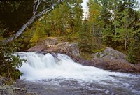 Waterfall in a forest, Oxtongue River, Algonquin Provincial Park, Ontario, Canada Fine Art Print