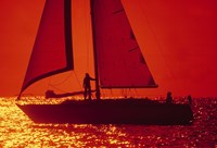 Silhouette of a sailboat in a lake, Lake Michigan, Chicago, Cook County, Illinois, USA Fine Art Print