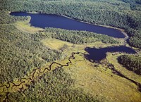 Aerial view of a lake, Algonquin Provincial Park, Ontario, Canada Fine Art Print