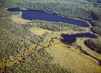 Aerial view of a lake, Algonquin Provincial Park, Ontario, Canada by Panoramic Images - various sizes