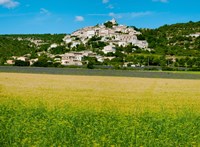 Farm with a town in the background, Simiane-La-Rotonde, Alpes-de-Haute-Provence, Provence-Alpes-Cote d'Azur, France Fine Art Print