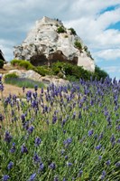 Lavender field in front of ruins of fortress on a rock, Les Baux-de-Provence, Provence-Alpes-Cote d'Azur, France by Panoramic Images - various sizes