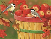 Apples In Basket With Chickadees Fine Art Print