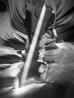 Illumination II Fine Art Print