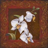 Orchid Study I by Tom Wood - various sizes