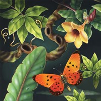 8" x 8" Butterfly Art