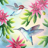 Bee Hummingbirds Fine Art Print