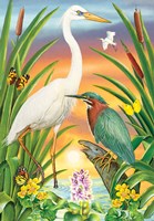 Green And White Herons Fine Art Print